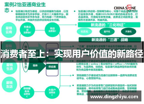消费者至上：实现用户价值的新路径