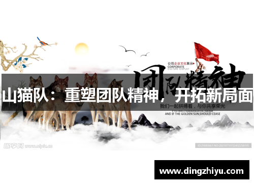 山猫队：重塑团队精神，开拓新局面
